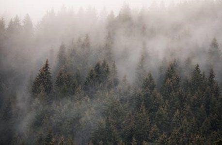 printable worksheets color by number multiplication pdf free