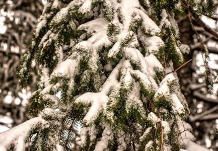 10 10 diet plan pdf free download